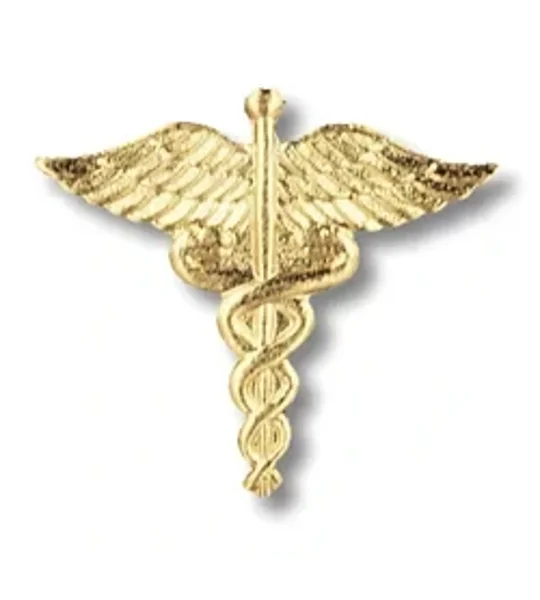 Caduceus Pin