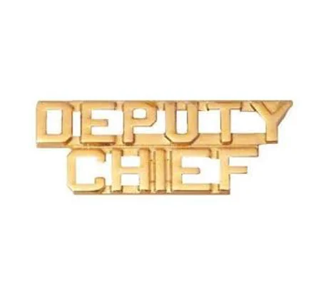 Collar Pins Letters 1/4" Deputy Chief Gold