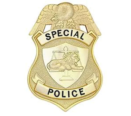 Special Police Shield Badge Lion with Scales Gold