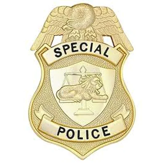 Special Police Hat Badge Screw Back Gold