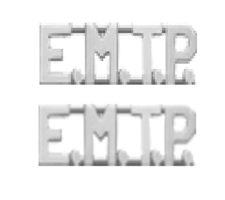 Collar Pins Insignia Letters 3/8'' E.M.T.P.. Paramedic Silver EMTP