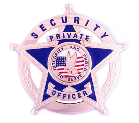 Security Officer Private Star over Circle Breast Badge Gold