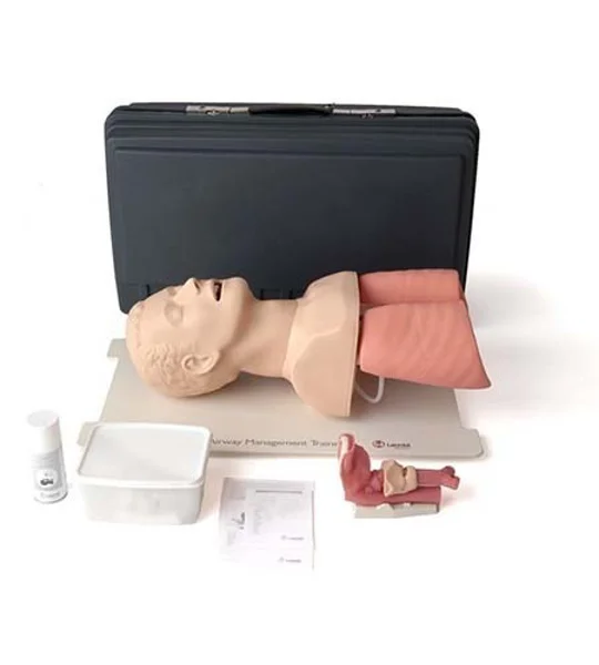Airway Management Trainer Adult