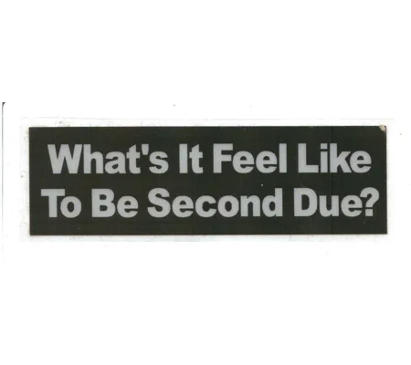 Whats it Feel Like 2nd Due Scotchlite Helmet Sticker
