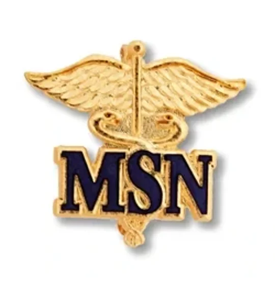 Master of Science Nursing Pin