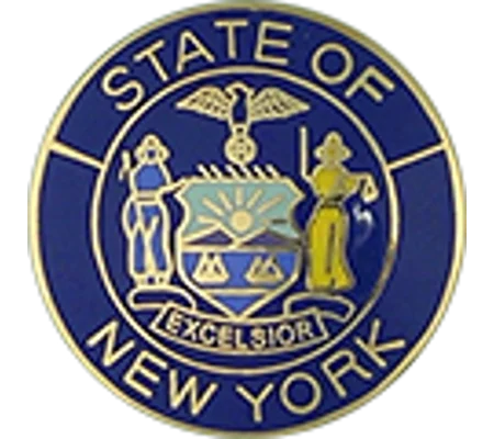 Collar Insignia Tac Pin State Seal NY New York