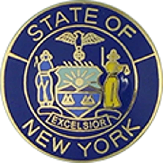 Collar Insignia Tac Pin State Seal NY New York