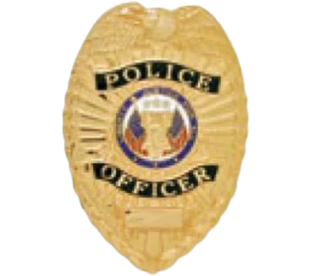 Police Officer Shield Breast Badge Gold