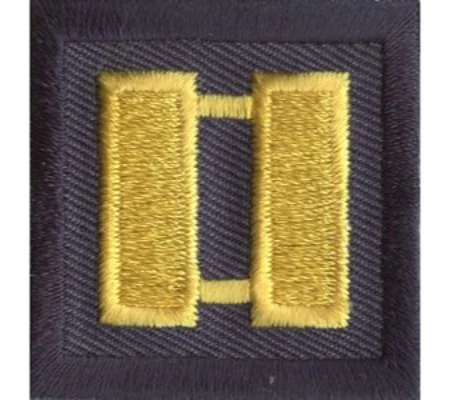 Captain Bars Embroidered Gold on Midnight Pair