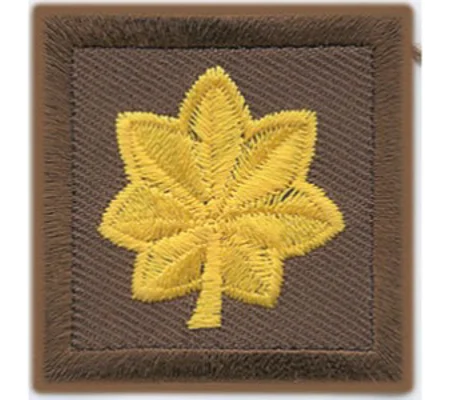 Major Leaf Embroidered Gold on Brown Pair
