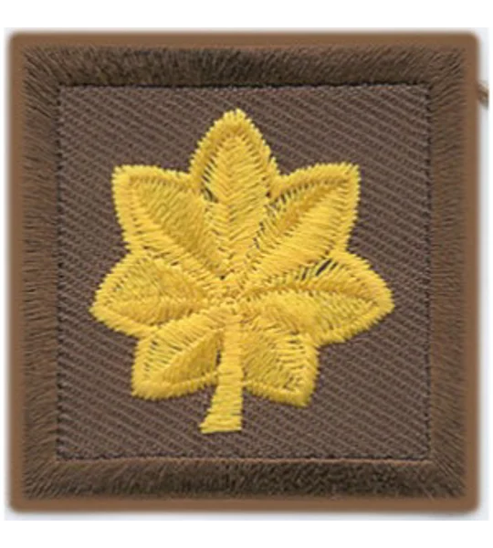 Major Leaf Embroidered Gold on Brown Pair