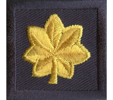 Major Leaf Embroidered Gold on Navy Pair