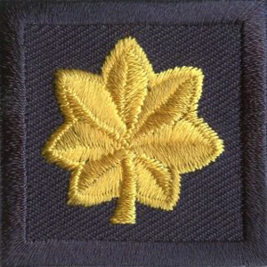 Major Leaf Embroidered Gold on Navy Pair