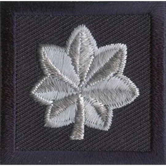 Major Leaf Embroidered Silver on Midnight Pair