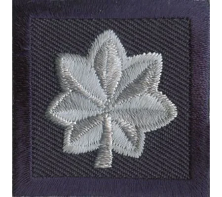 Major Leaf Embroidered Silver on Navy Pair