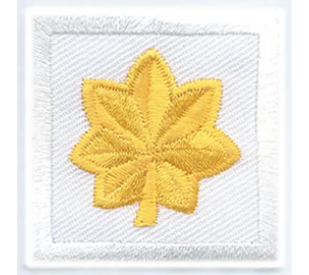 Major Leaf Embroidered Gold on White Pair