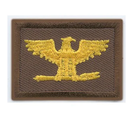 Colonel Embroidered Gold on Brown Pair