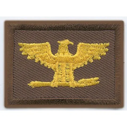 Colonel Embroidered Gold on Brown Pair