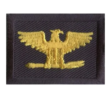 Colonel Embroidered Gold on Midnight Blue Pair