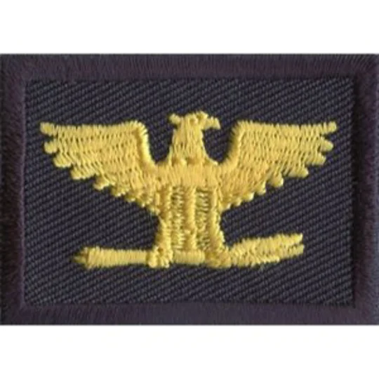 Colonel Embroidered Gold on Navy Pair