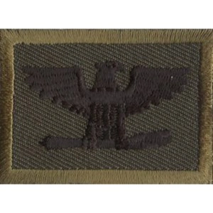 Colonel Embroidered Black on Olive Drab