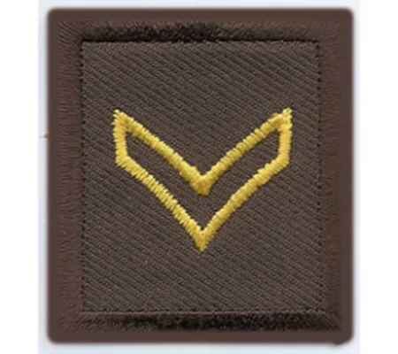 Corporal Embroidered Gold on Brown Pair Open