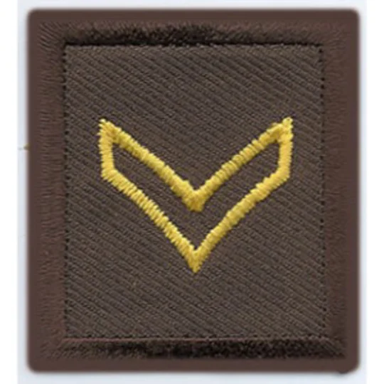Corporal Embroidered Gold on Brown Pair Open