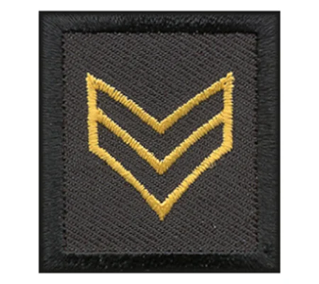Sergeant Embroidered Gold on Black Pair Unfilled