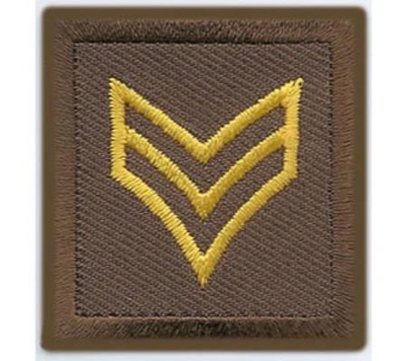 Sergeant Embroidered Gold on Brown Pair Unfilled