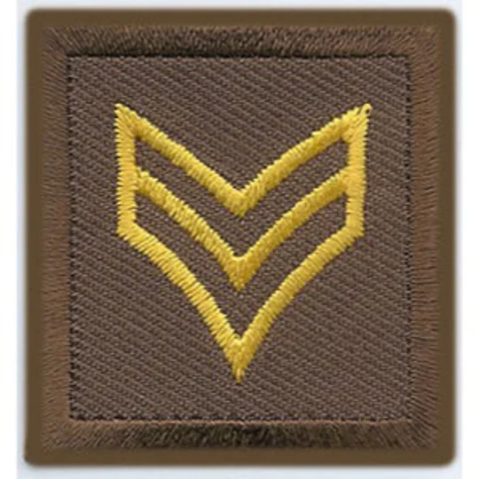 Sergeant Embroidered Gold on Brown Pair Unfilled