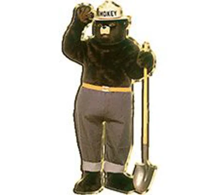 Pin Insignia Smokey The Bear Tie Tac