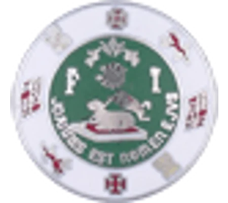 Collar Insignia Tac Pin State Seal PR Puerto Rico