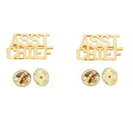 Collar Pins Insignia Numbers 1/4'' ASST CHIEF Gold