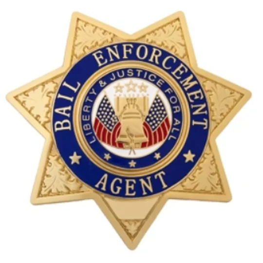 Bail Enforcement Agent 7-Point Star Breast Badge Gold