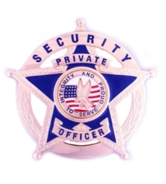 Security Officer Private Star over Circle Breast Badge Gold