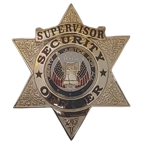 Security Officer 6 Point Star Badge Gold Supervisor