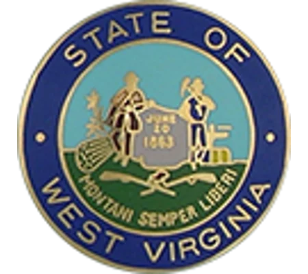 Collar Insignia Tac Pin State Seal WV West Virginia