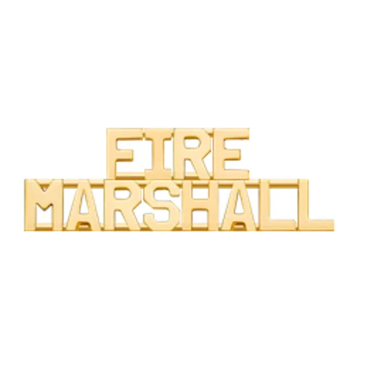 Collar Pins Insignia Numbers 3/8'' FIRE Marshall Gold
