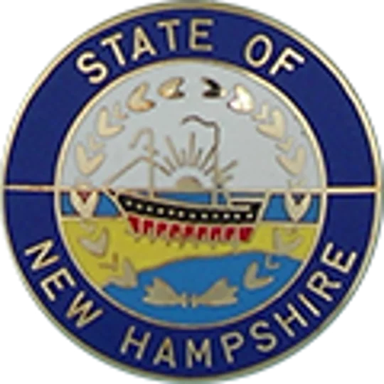 Collar Insignia Tac Pin State Seal NH New Hampshire