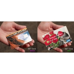 EBT Card Cover Kittens and Roses