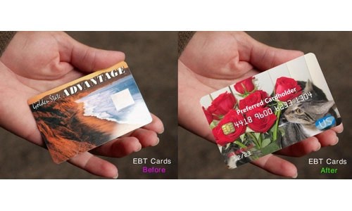 EBT Card Cover Kittens and Roses