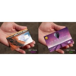 EBT Card Cover Air Balloon