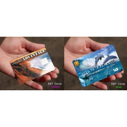 EBT Card Cover Dolphins