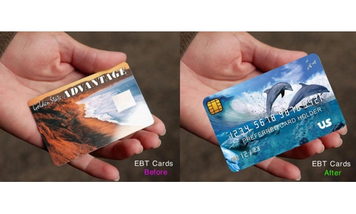 EBT Card Cover Dolphins