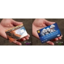 EBT Card Cover Puppies