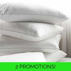 Bounce Back Pillows