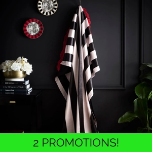 Festivo Circus Stripe Black Velvet Throw