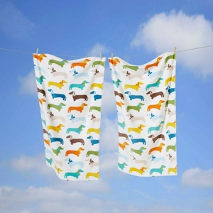 Dachshund Beach Towel