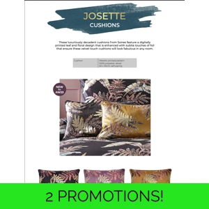 Josette Velvet Cushions