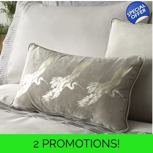 Qing Oyster Boudoir